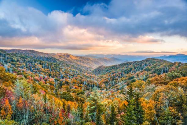 Villa Breathtaking Sunsets, Views, Pool, Heaven Awaits! Gatlinburg Exterior foto